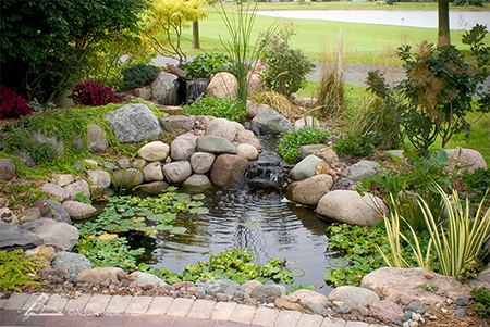 pond-img-2